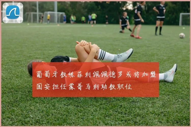 葡萄牙教练菲利佩佩德罗或将加盟国安担任蒙哥马利助教职位