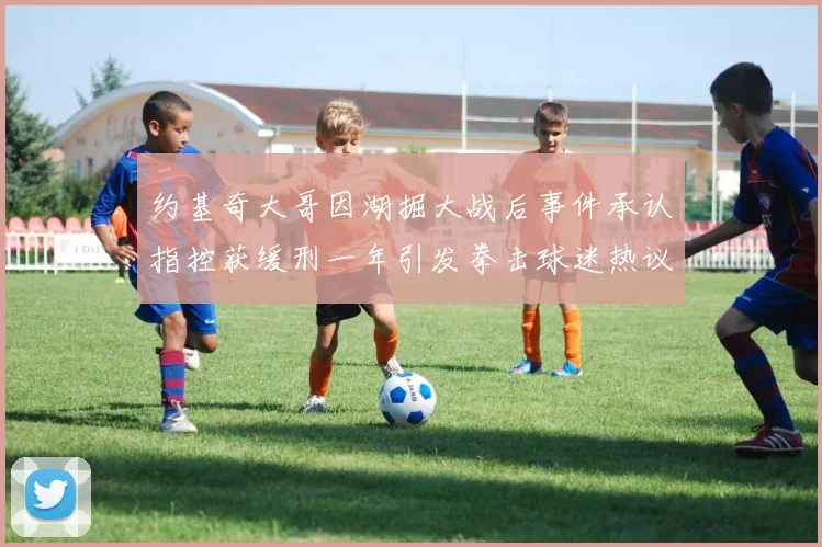 约基奇大哥因湖掘大战后事件承认指控获缓刑一年引发拳击球迷热议