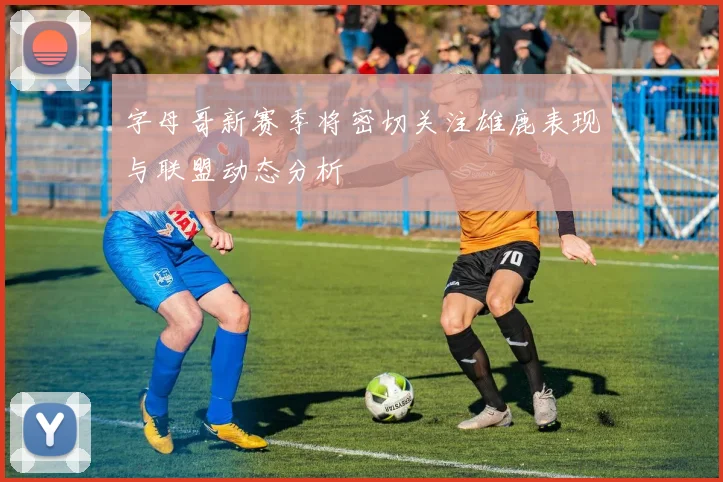 字母哥新赛季将密切关注雄鹿表现与联盟动态分析